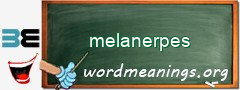 WordMeaning blackboard for melanerpes